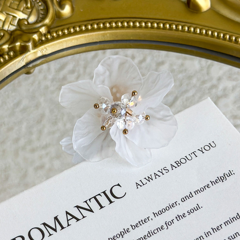 Adornos de Zapatos de Flor de Cristal