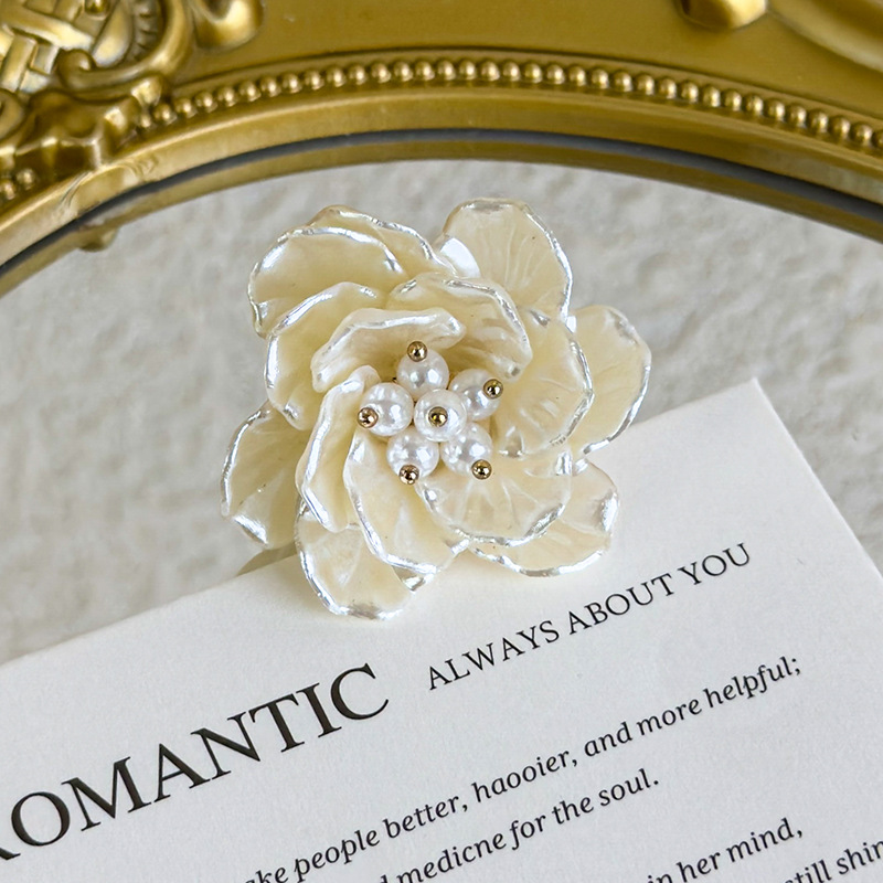 Adornos de Zapatos de Flor de Cristal