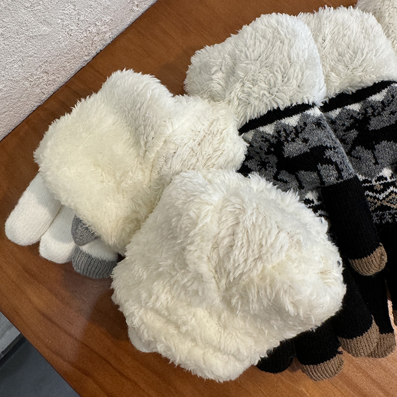 Kadın Örgü Kış Eldiveni