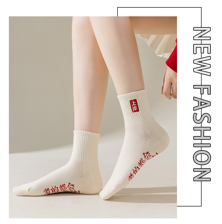 Meias Motivacionais para Exames