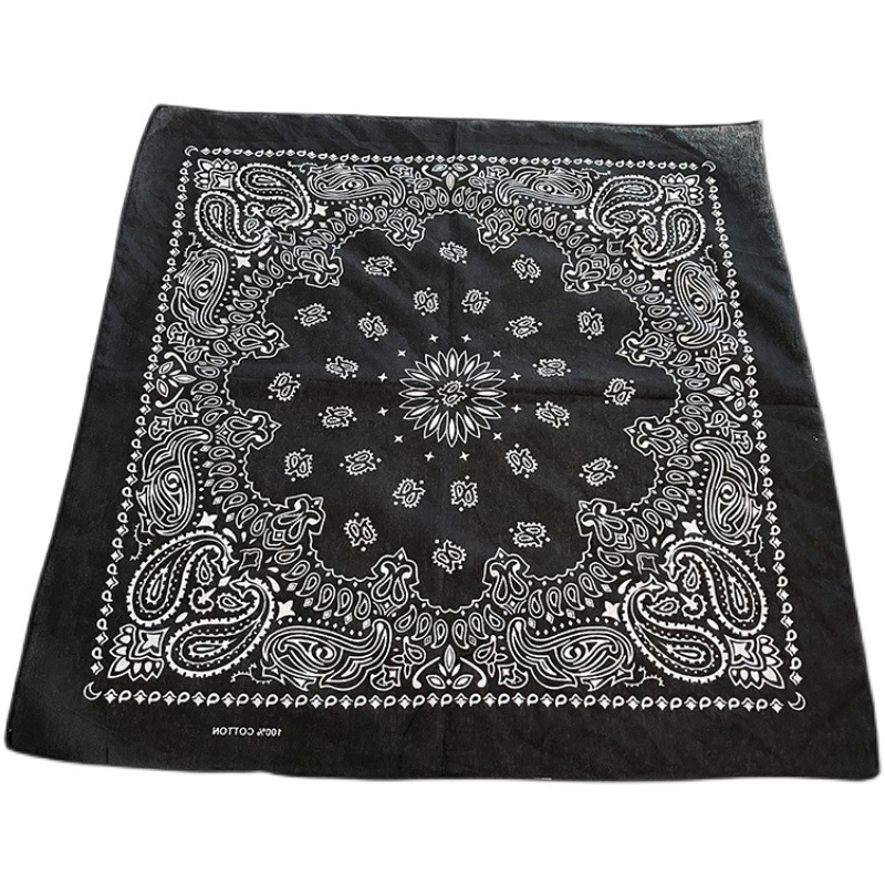 Bandana Paisley