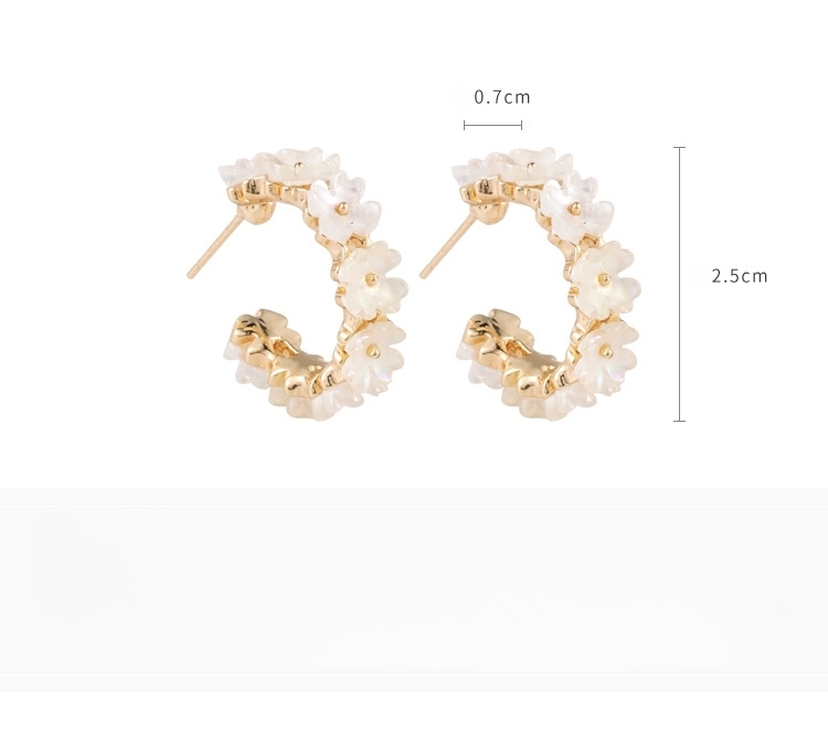 أقراط دائرة زهرة الصدف