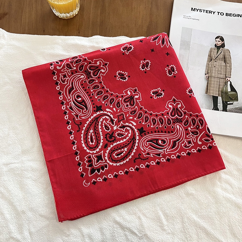 ผ้าพันคอพิมพ์ลาย Paisley