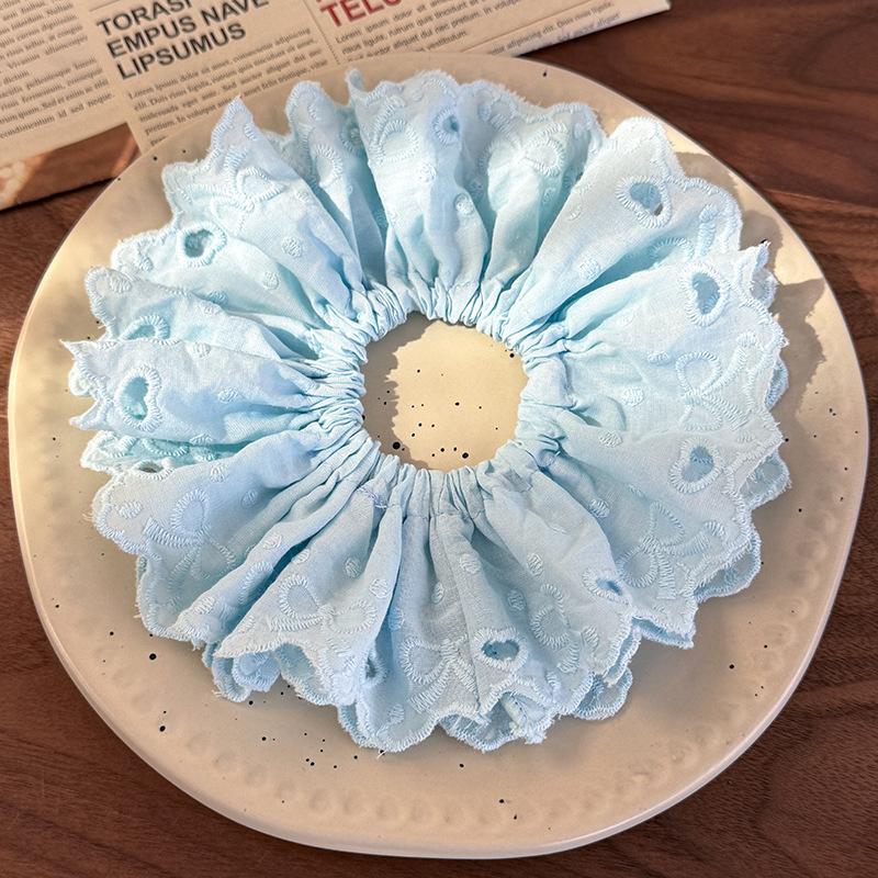 Κορδέλες Μαλλιών Μπαλέτου με Κεντήματα Δαντέλας σε Σχήμα Καρδιάς