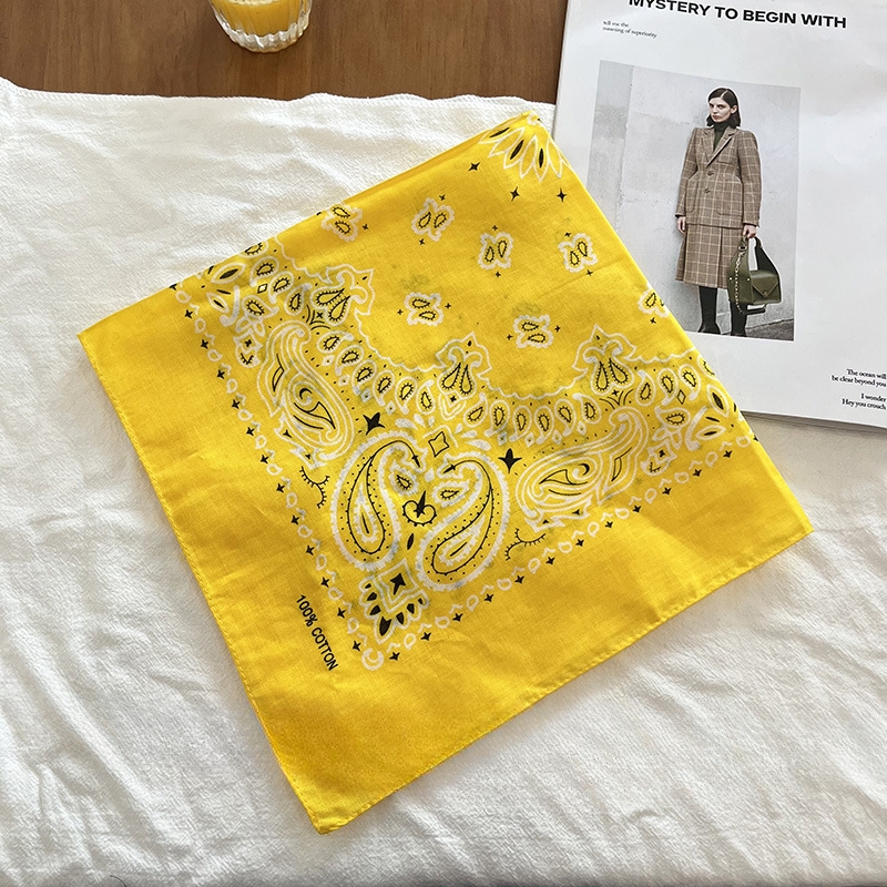 ผ้าพันคอพิมพ์ลาย Paisley